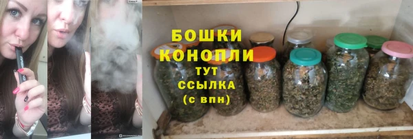 бошки Лагань
