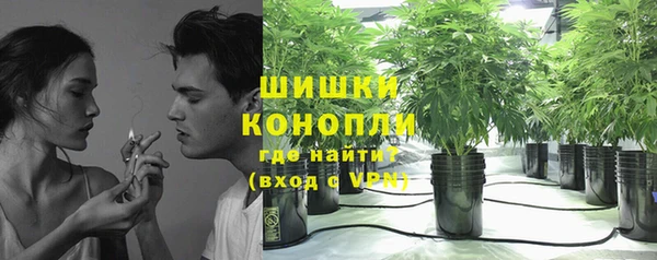 дживик Ладушкин