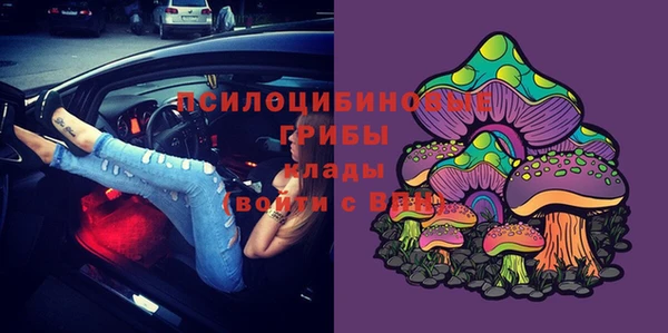 бутират Белокуриха