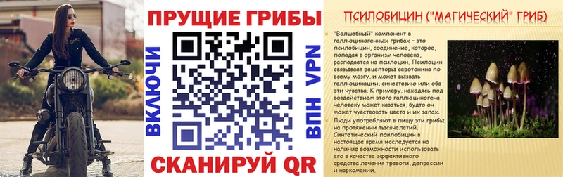 Псилоцибиновые грибы мицелий купить наркотик Билибино